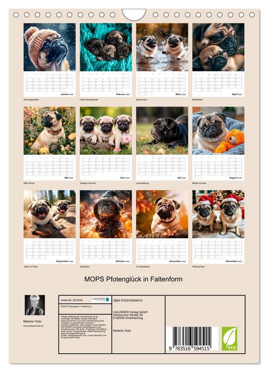 Produktbild: MOPS Pfotengl&uuml;ck in Faltenform (Wandkalender 2026 DIN A4 hoch), CALVENDO Monatskalender