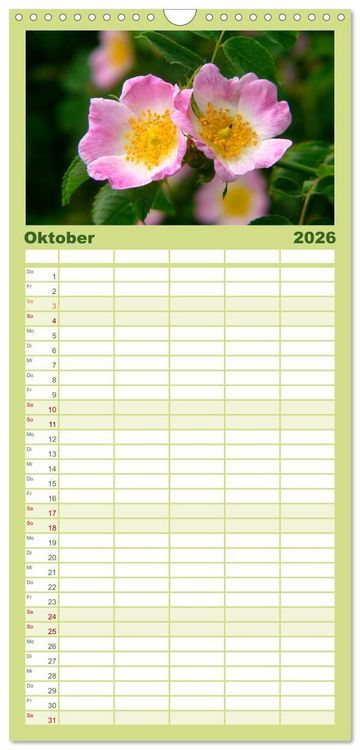 Produktbild: Familienplaner 2026 - Wildblumen 2026 mit 5 Spalten (Wandkalender, 21 x 45 cm) CALVENDO