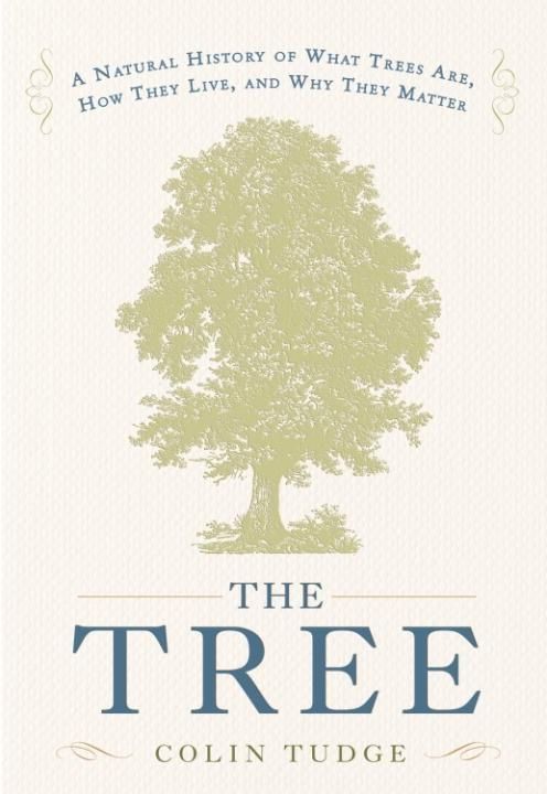 Produktbild: The Tree