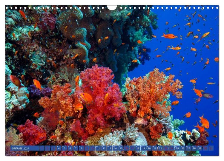 Produktbild: Farbenfrohes Meer (Wandkalender 2027 DIN A3 quer), CALVENDO Monatskalender