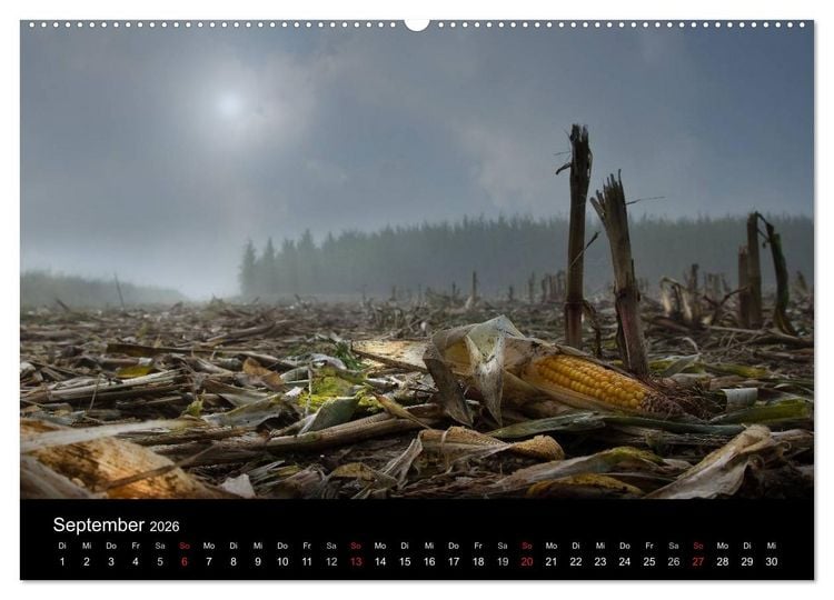 Produktbild: M&auml;rchenkulissen - Landschaften der Oberpfalz (Wandkalender 2026 DIN A2 quer), CALVENDO Monatskalender