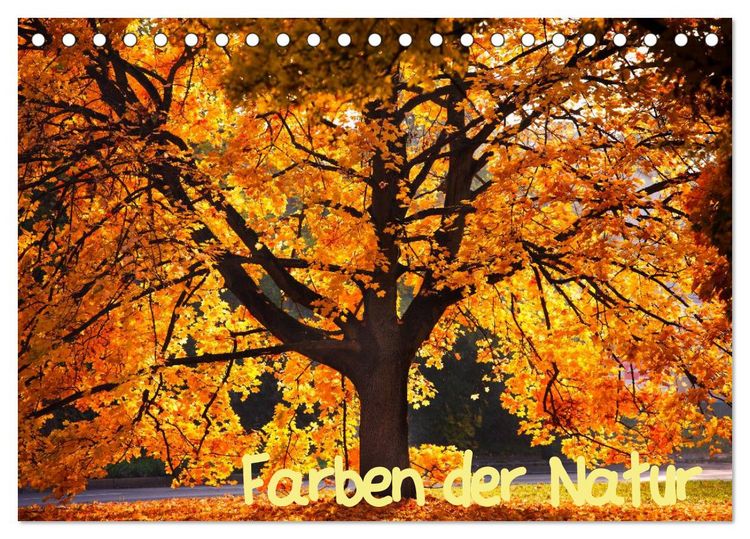 Produktbild: Farben der Natur (Tischkalender 2026 DIN A5 quer), CALVENDO Monatskalender