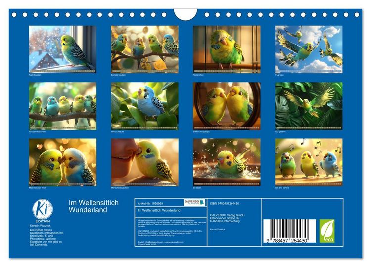 Produktbild: Im Wellensittich Wunderland (Wandkalender 2026 DIN A4 quer), CALVENDO Monatskalender