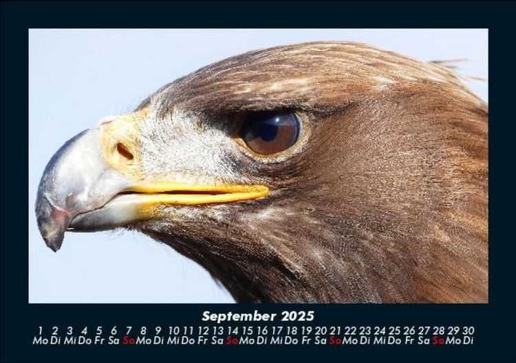 Produktbild: Vogelparadies 2025 Fotokalender DIN A5