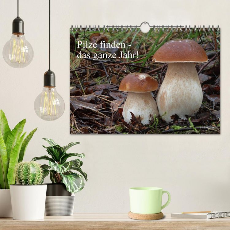 Produktbild: Pilze finden - das ganze Jahr! (Wandkalender 2026 DIN A4 quer), CALVENDO Monatskalender