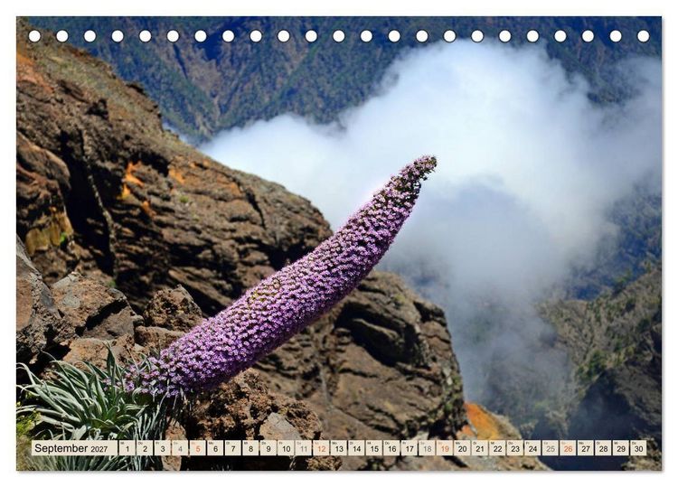 Produktbild: Magic Moments - LA PALMA (Tischkalender 2027 DIN A5 quer), CALVENDO Monatskalender