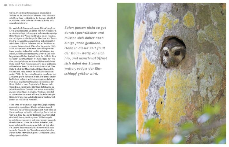 Produktbild: Das geheime Leben der B&auml;ume