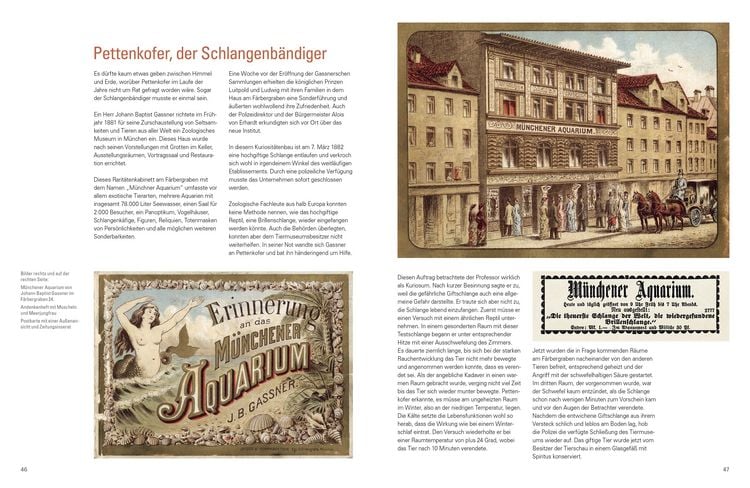 Produktbild: Meine Verehrung Exzellenz !