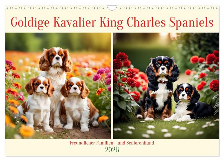 Produktbild: Goldige Kavalier King Charles Spaniels (Wandkalender 2026 DIN A3 quer), CALVENDO Monatskalender