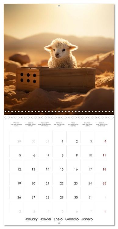 Produktbild: Draw me a sheep (Wall Calendar 2026 12 &times; 12 Inch) CALVENDO 12 Month Wall Calendar