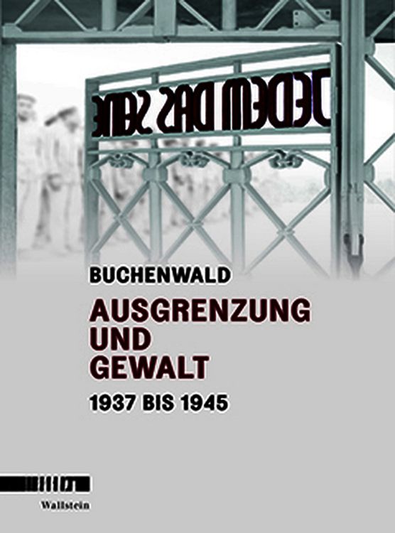Produktbild: Buchenwald