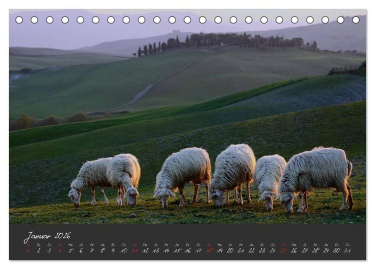 Produktbild: Licht der Toscana (Tischkalender 2026 DIN A5 quer), CALVENDO Monatskalender
