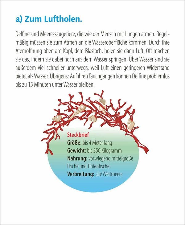 Produktbild: Wie faul ist das Faultier? 2027