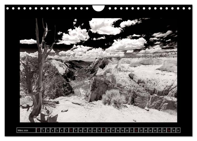 Produktbild: USA - 4000 Meilen S&uuml;dwest Hommage an die gro&szlig;en SW-Fotografen Amerikas (Wandkalender 2026 DIN A4 quer), CALVENDO Monatskalender