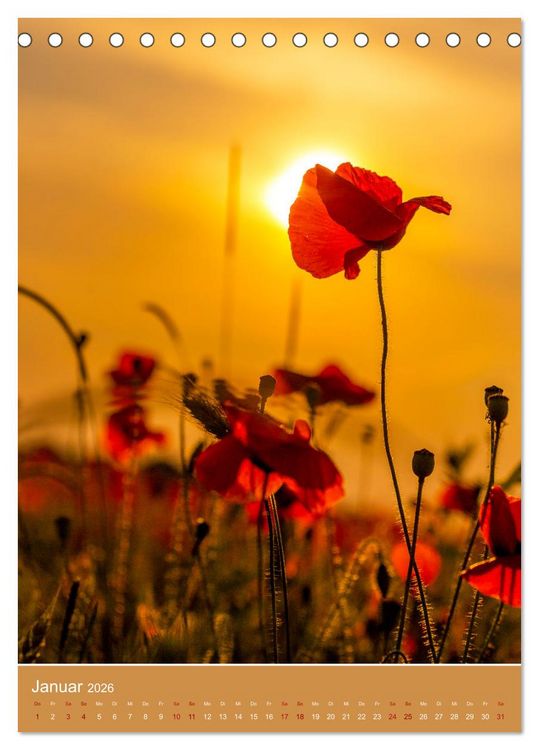 Produktbild: Mohnblumen - kraftvoll und zart (Tischkalender 2026 DIN A5 hoch), CALVENDO Monatskalender