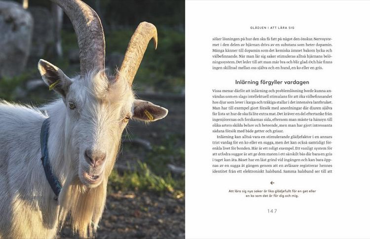 Produktbild: Wie Tiere f&uuml;hlen