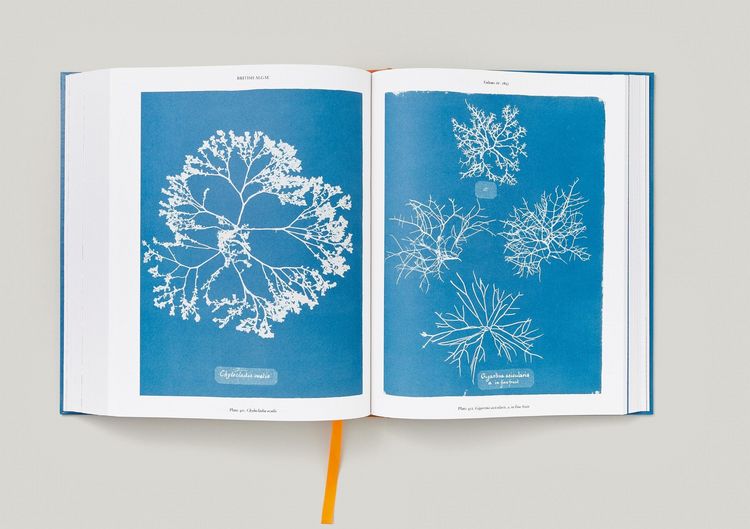 Produktbild: Anna Atkins