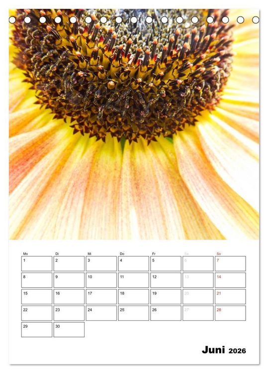 Produktbild: Strahlende Sonnenblumen (Tischkalender 2026 DIN A5 hoch), CALVENDO Monatskalender
