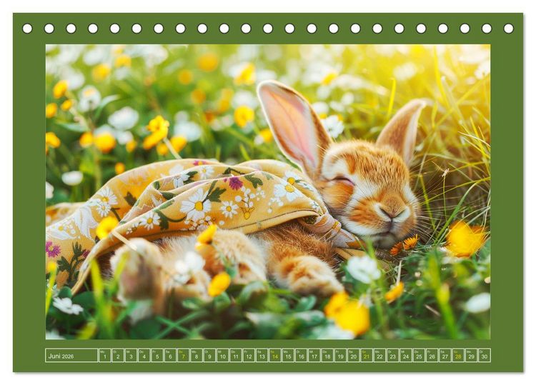 Produktbild: Kaninchen auf modischer Mission (Tischkalender 2026 DIN A5 quer), CALVENDO Monatskalender