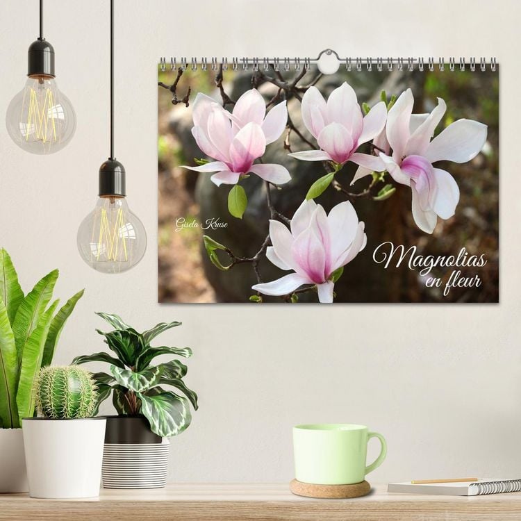 Produktbild: Magnolias en fleur (Calendrier mural 2026 DIN A4 vertical), CALVENDO calendrier mensuel