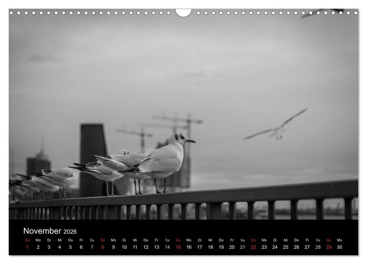 Produktbild: Mein Hamburg (Wandkalender 2026 DIN A3 quer), CALVENDO Monatskalender
