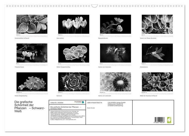 Produktbild: Die grafische Sch&ouml;nheit der Pflanzen &ndash; Schwarz-Wei&szlig; (Wandkalender 2026 DIN A2 quer), CALVENDO Monatskalender