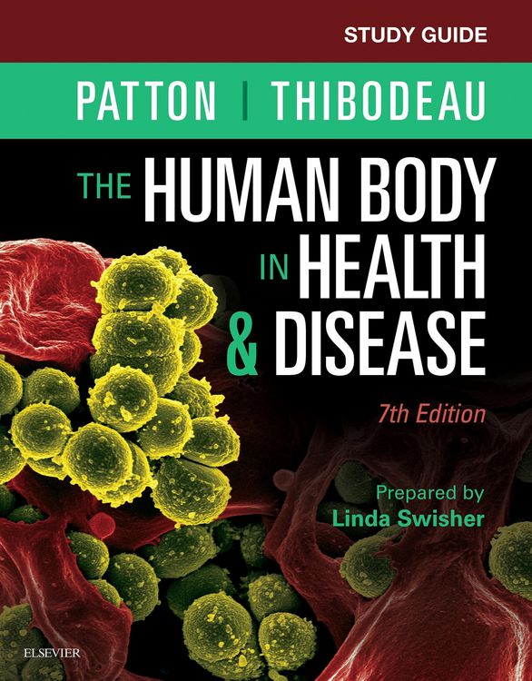 Produktbild: Study Guide for The Human Body in Health & Disease - E-Book