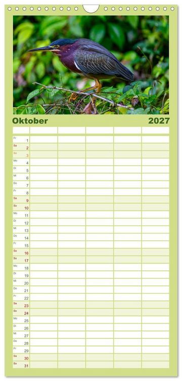 Produktbild: Familienplaner 2027 - Costa Rica - Naturparadies zwischen Karibik und Pazifik mit 5 Spalten (Wandkalender, 21 x 45 cm) CALVENDO