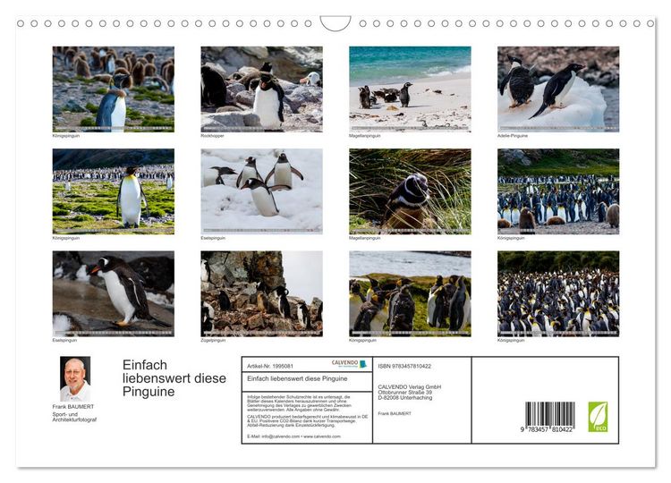 Produktbild: Einfach liebenswert diese Pinguine (Wandkalender 2026 DIN A3 quer), CALVENDO Monatskalender