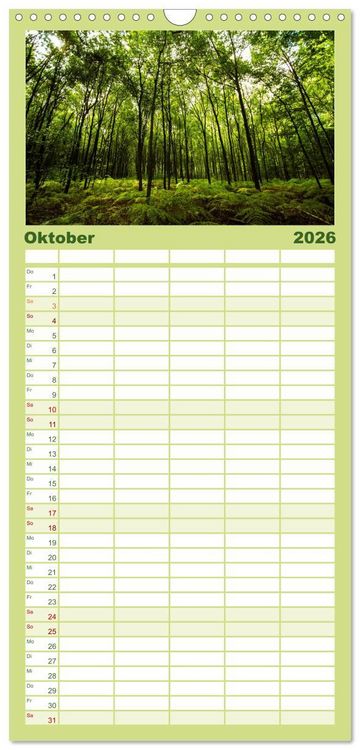 Produktbild: Familienplaner 2026 - Wald mit 5 Spalten (Wandkalender, 21 x 45 cm) CALVENDO