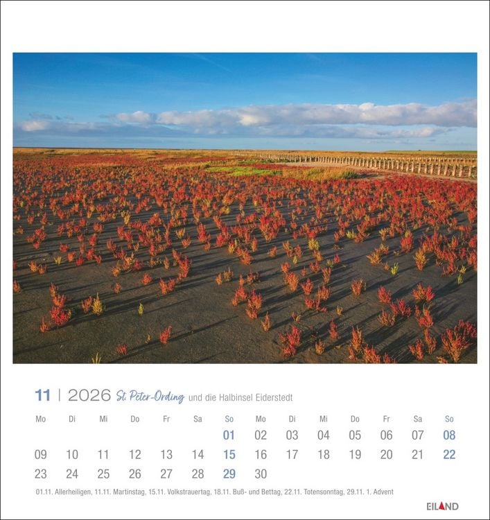 Produktbild: St. Peter-Ording und die Halbinsel Eiderstedt Postkartenkalender 2026