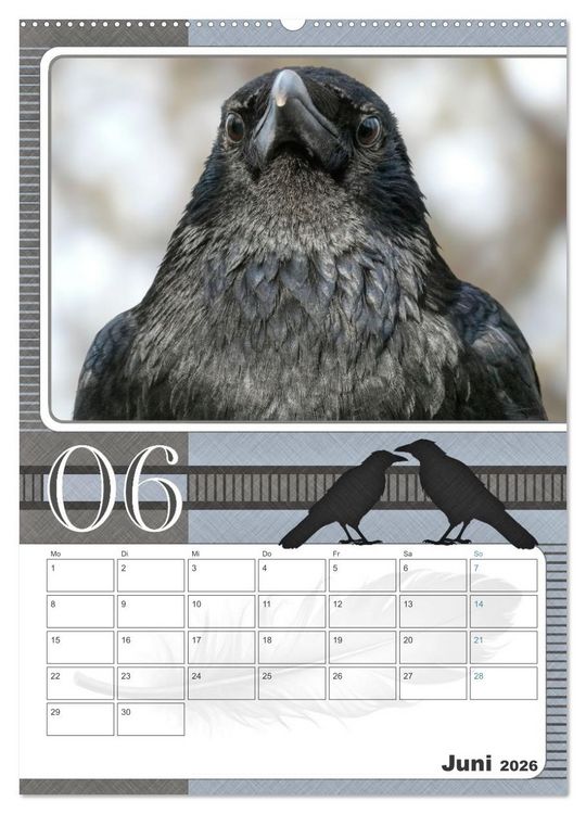 Produktbild: Kr&auml;hen - Clever notiert! Mit K&ouml;pfchen durchs ganze Jahr (hochwertiger Premium Wandkalender 2026 DIN A2 hoch), Kunstdruck in Hochglanz
