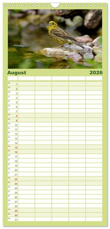 Produktbild: Familienplaner 2026 - V&ouml;gel mit 5 Spalten (Wandkalender, 21 x 45 cm) CALVENDO
