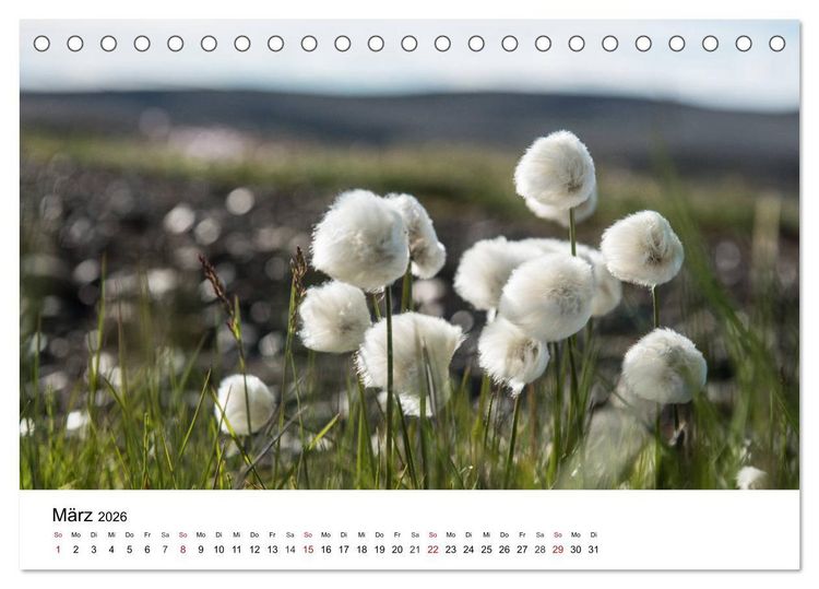 Produktbild: Island - rauhe Sch&ouml;nheit zum Verlieben (Tischkalender 2026 DIN A5 quer), CALVENDO Monatskalender