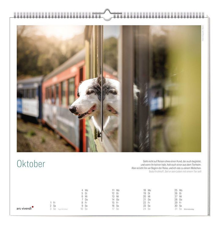 Produktbild: Der gro&szlig;e literarische Hunde Kalender 2027
