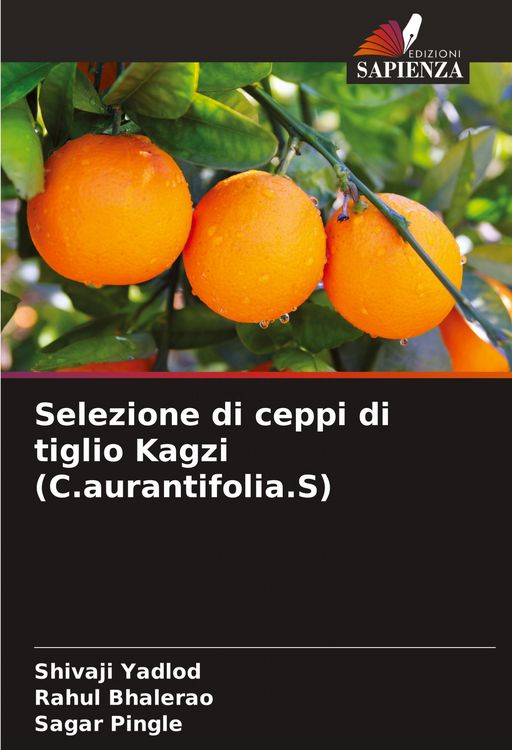 Produktbild: Selezione di ceppi di tiglio Kagzi (C.aurantifolia.S)
