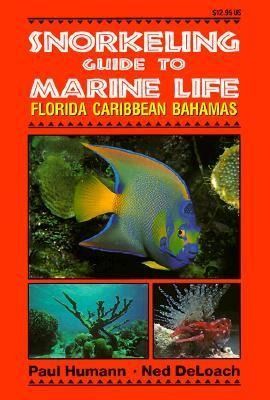 Produktbild: Snorkeling Guide to Marine Life Florida, Caribbean, Bahamas
