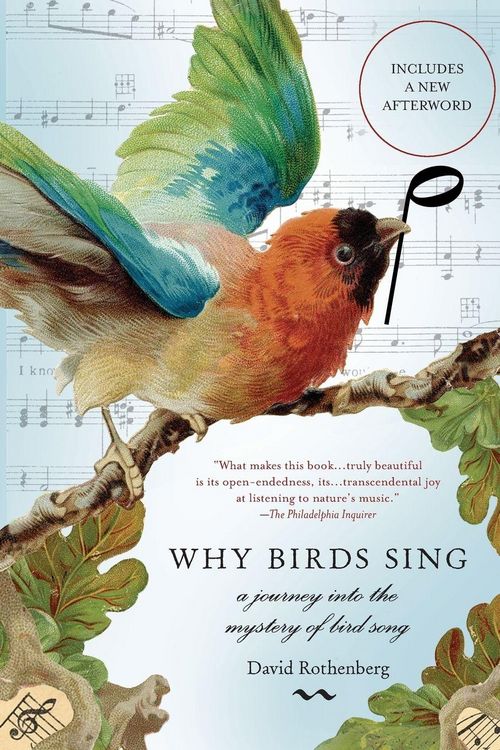 Produktbild: Why Birds Sing