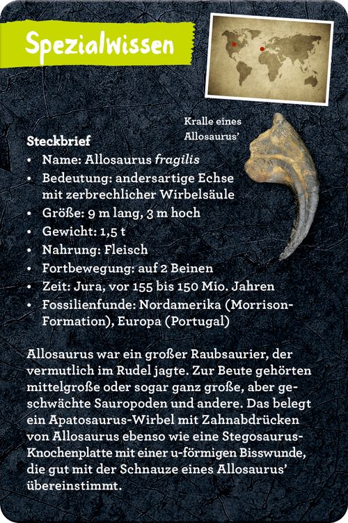 Produktbild: 50 Dinosaurier