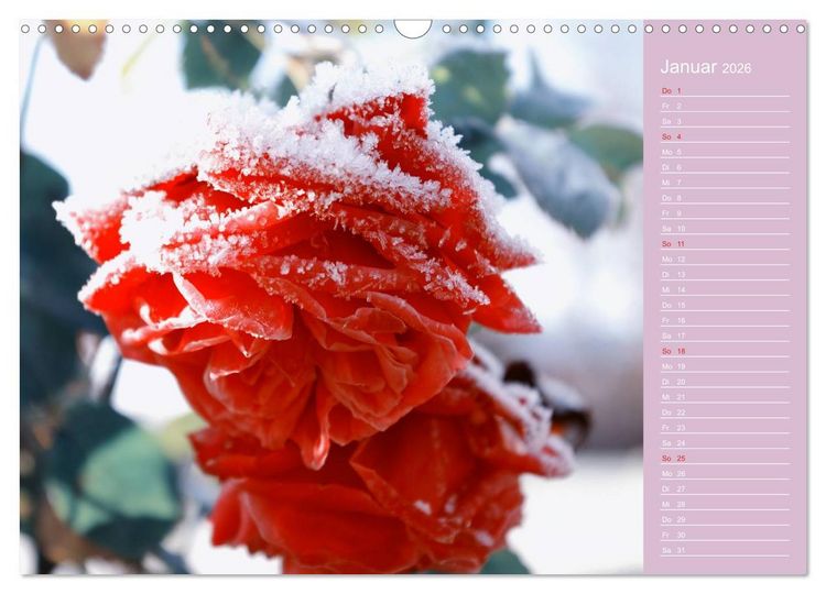 Produktbild: Blumenfreude (Wandkalender 2026 DIN A3 quer), CALVENDO Monatskalender
