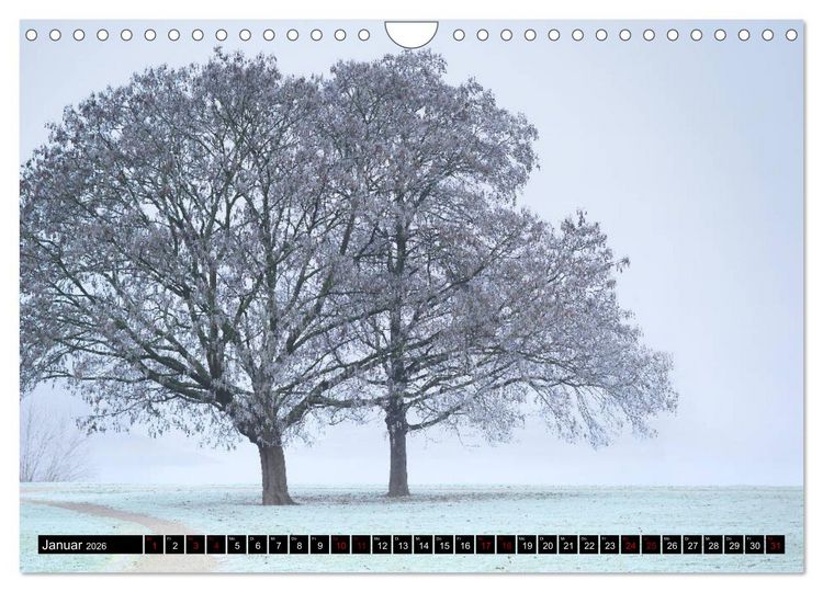 Produktbild: Mannheimer Impressionen. (Wandkalender 2026 DIN A4 quer), CALVENDO Monatskalender