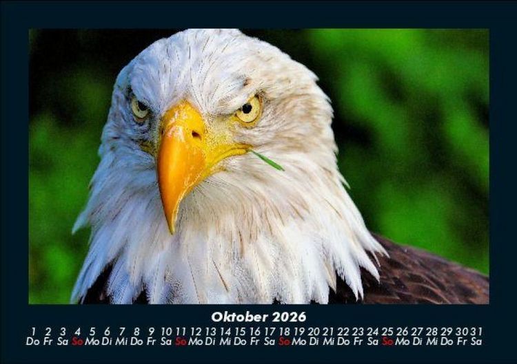 Produktbild: Adler 2026 Fotokalender DIN A5