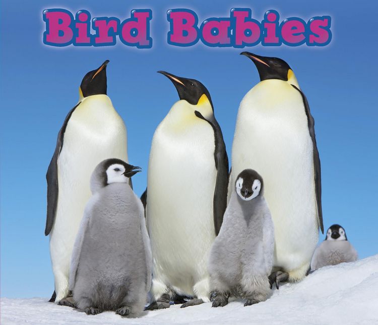 Produktbild: Bird Babies