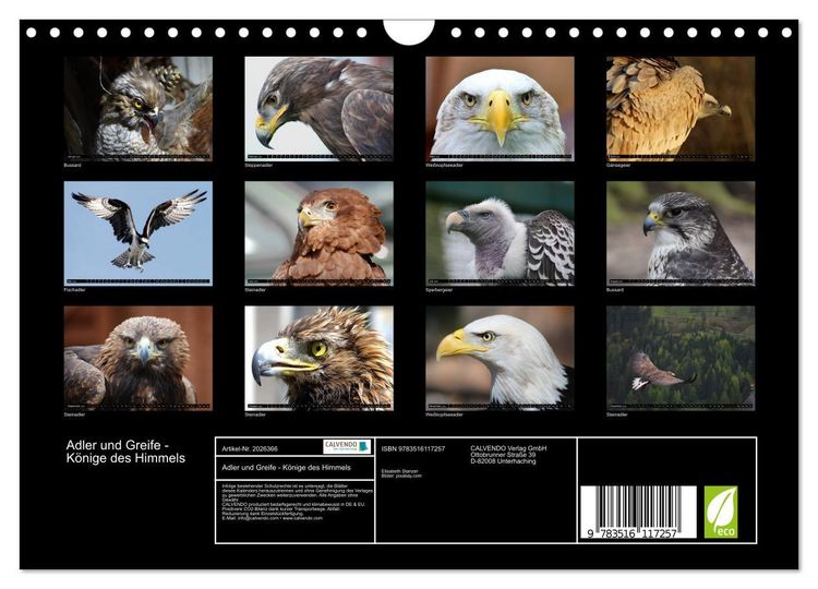 Produktbild: Adler und Greife - K&ouml;nige des Himmels (Wandkalender 2026 DIN A4 quer), CALVENDO Monatskalender