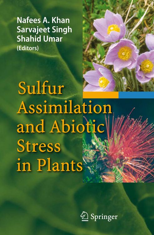 Produktbild: Sulfur Assimilation and Abiotic Stress in Plants