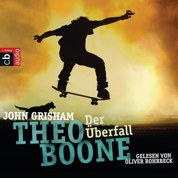Bild vom Artikel Theo Boone: Der Überfall vom Autor John Grisham