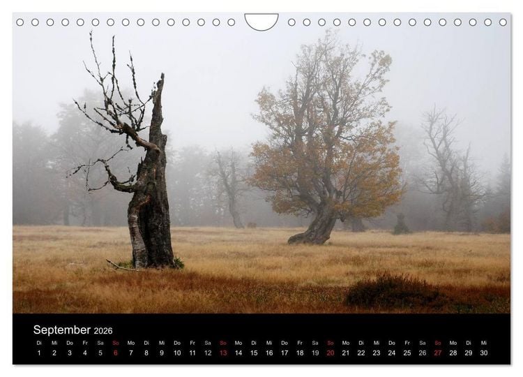 Produktbild: Zauberhafter Bayerischer Wald (Wandkalender 2026 DIN A4 quer), CALVENDO Monatskalender