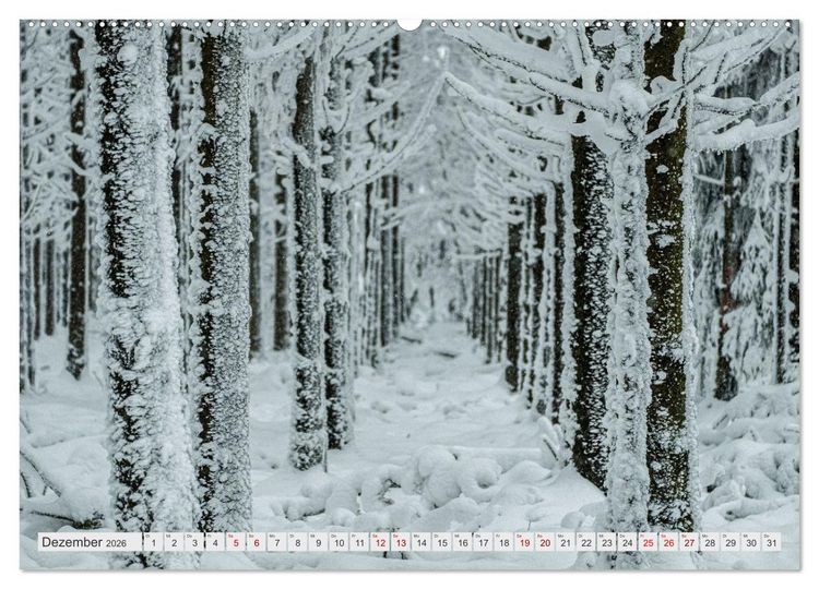 Produktbild: Traumlandschaft Hohes Venn (hochwertiger Premium Wandkalender 2026 DIN A2 quer), Kunstdruck in Hochglanz