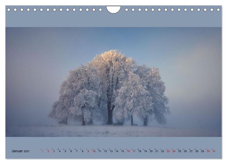 Produktbild: Fogscapes - magische Nebellandschaften (Wandkalender 2027 DIN A4 quer), CALVENDO Monatskalender