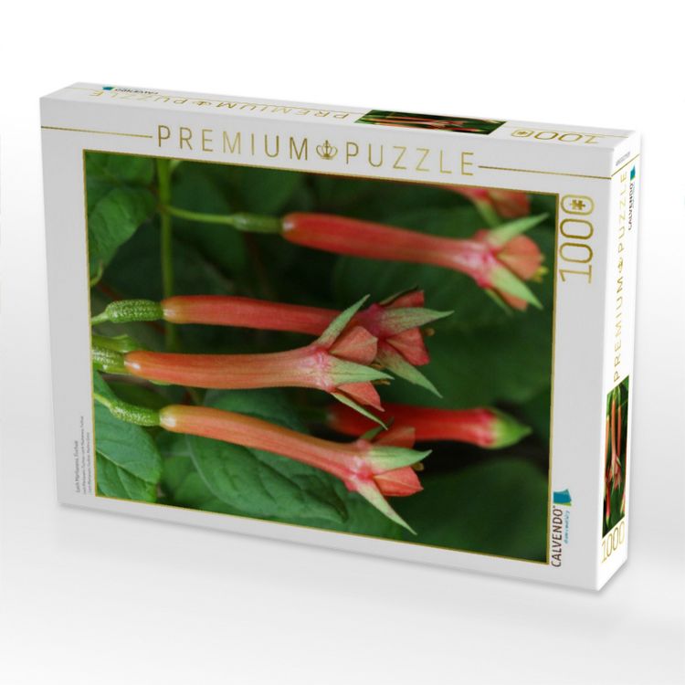 Produktbild: CALVENDO Puzzle Lech Martianess, Fuchsie | 1000 Teile Lege-Gr&ouml;&szlig;e 64x48cm Foto-Puzzle f&uuml;r gl&uuml;ckliche Stunden